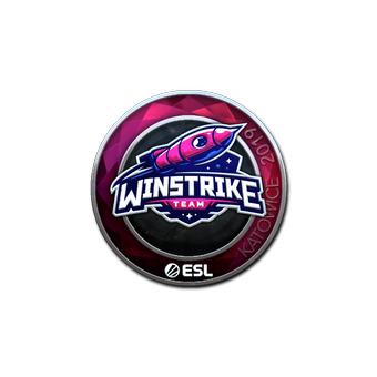 Sticker | Winstrike Team (Foil) | Katowice 2019 CS2 skin
