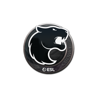 Sticker | FURIA | Katowice 2019 CS2 skin
