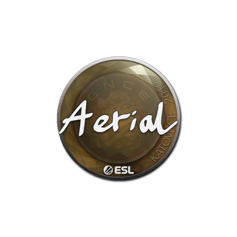 Sticker | Aerial | Katowice 2019 CS2 skin