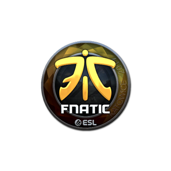 Sticker | Fnatic (Foil) | Katowice 2019 CS2 skin
