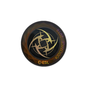 Sticker | Ninjas in Pyjamas (Holo) | Katowice 2019 CS2 skin