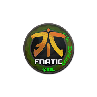 Sticker | Fnatic (Holo) | Katowice 2019 CS2 skin