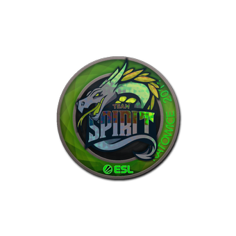 Sticker | Team Spirit (Holo) | Katowice 2019 CS2 skin