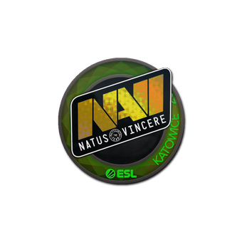 Sticker | Natus Vincere (Holo) | Katowice 2019 CS2 skin
