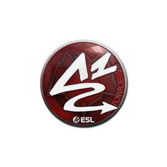 Sticker | ANGE1 | Katowice 2019 CS2 skin