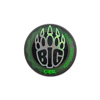 Sticker | BIG (Holo) | Katowice 2019 CS2 skin