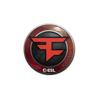 Sticker | FaZe Clan | Katowice 2019 CS2 skin