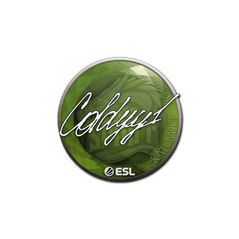 Sticker | COLDYY1 | Katowice 2019 CS2 skin