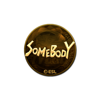 Sticker | somebody (Gold) | Katowice 2019 CS2 skin