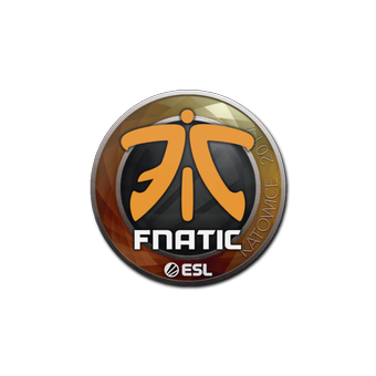 Sticker | Fnatic | Katowice 2019 CS2 skin