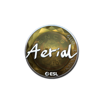 Sticker | Aerial (Foil) | Katowice 2019 CS2 skin