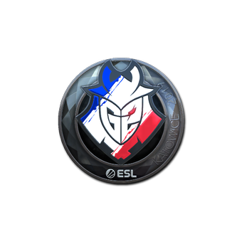 Sticker | G2 Esports (Foil) | Katowice 2019 CS2 skin