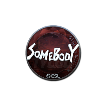 Sticker | somebody (Foil) | Katowice 2019 CS2 skin