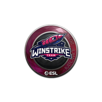 Sticker | Winstrike Team | Katowice 2019 CS2 skin