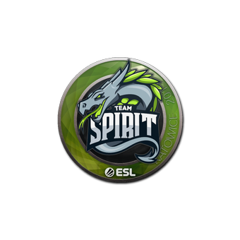 Sticker | Team Spirit | Katowice 2019 CS2 skin