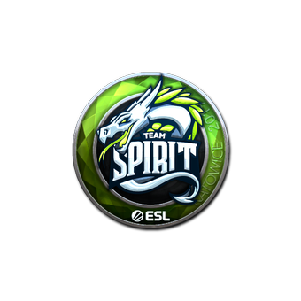 Sticker | Team Spirit (Foil) | Katowice 2019 CS2 skin