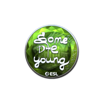 Sticker | sdy (Foil) | Katowice 2019 CS2 skin