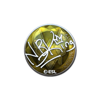 Sticker | NBK- (Foil) | Katowice 2019 CS2 skin
