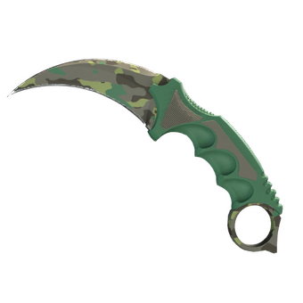 ★ StatTrak™ Karambit | Boreal Forest (Minimal Wear) CS2 skin