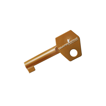 CS:GO Capsule Key CS2 skin
