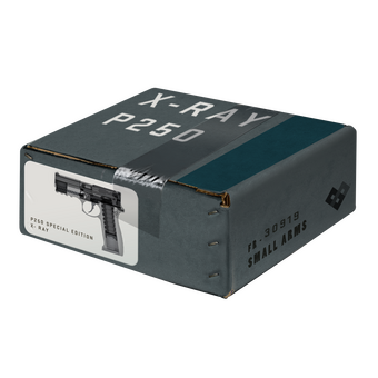 X-Ray P250 Package CS2 skin