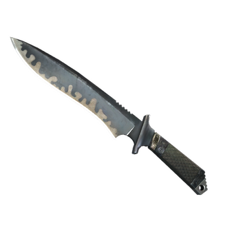 ★ StatTrak™ Classic Knife CS2 skin