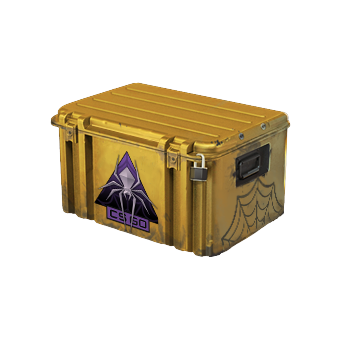 Shattered Web Case CS2 skin