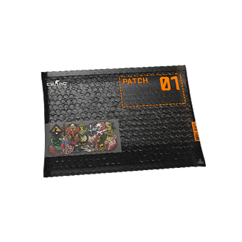 CS:GO Patch Pack CS2 skin