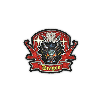 Patch | Dragon CS2 skin