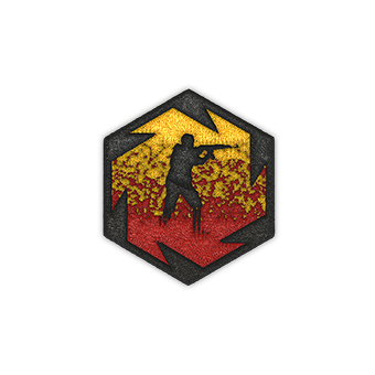 Patch | Danger Zone CS2 skin