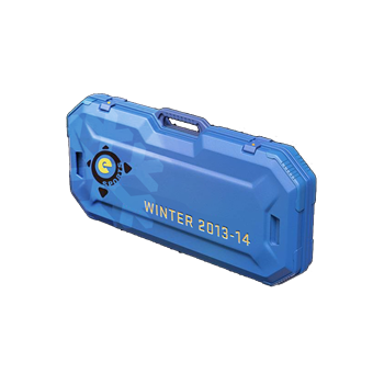 eSports 2013 Winter Case CS2 skin