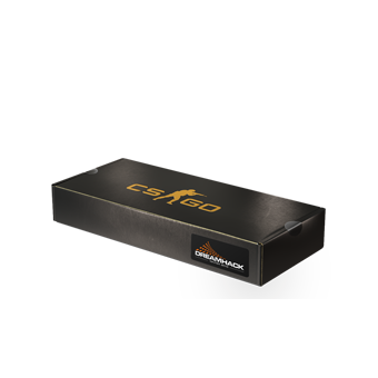 DreamHack 2013 Souvenir Package CS2 skin