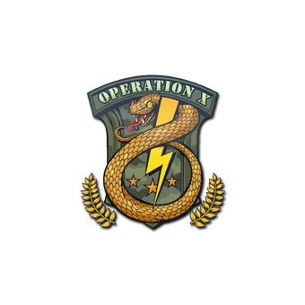 Sticker | Badge of Service CS2 skin