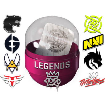 2020 RMR Legends CS2 skin