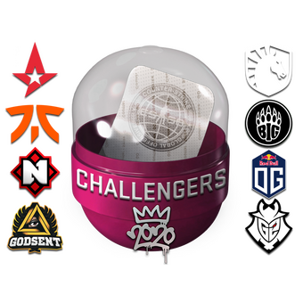 2020 RMR Challengers CS2 skin