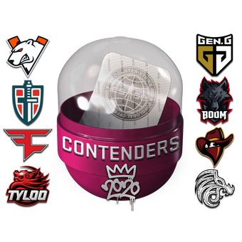 2020 RMR Contenders CS2 skin