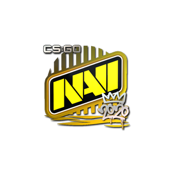 Sticker | Natus Vincere | 2020 RMR CS2 skin