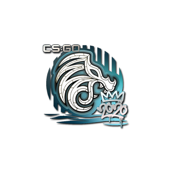 Sticker | North | 2020 RMR CS2 skin