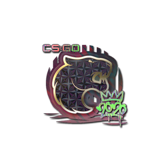 Sticker | FURIA (Holo) | 2020 RMR CS2 skin