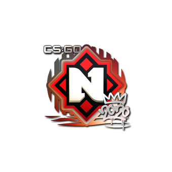 Sticker | Nemiga | 2020 RMR CS2 skin