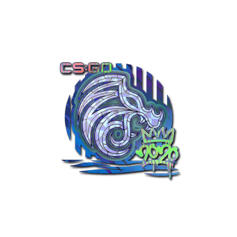 Sticker | North (Holo) | 2020 RMR CS2 skin
