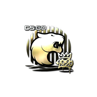 Sticker | FURIA (Gold) | 2020 RMR CS2 skin