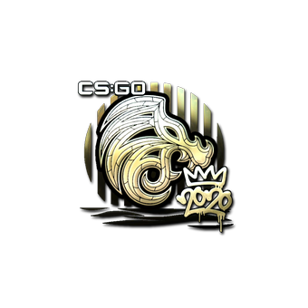 Sticker | North (Gold) | 2020 RMR CS2 skin