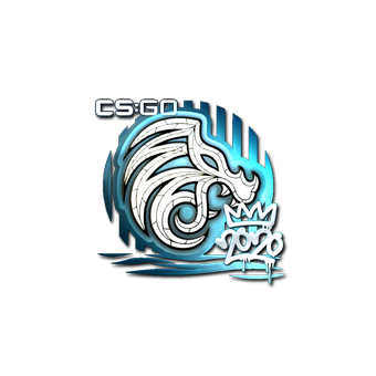 Sticker | North (Foil) | 2020 RMR CS2 skin