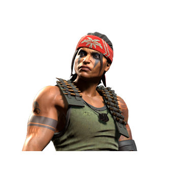 Vypa Sista of the Revolution | Guerrilla Warfare CS2 skin