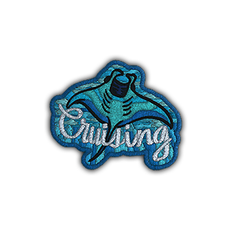 Patch | Cruising Ray CS2 skin