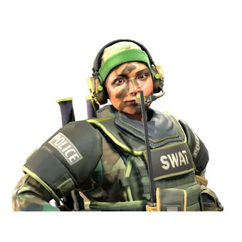 Lieutenant 'Tree Hugger' Farlow | SWAT CS2 skin