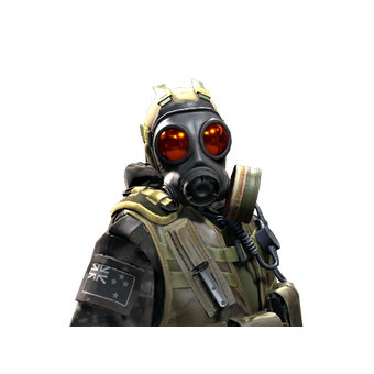 D Squadron Officer | NZSAS CS2 skin