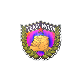 Sticker | Teamwork (Holo) CS2 skin