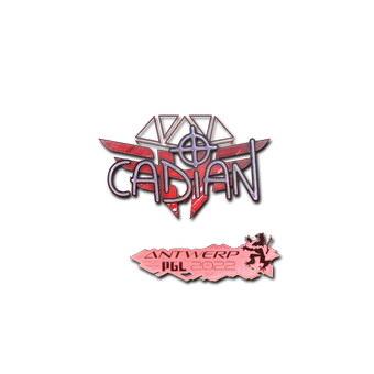 Sticker | cadiaN (Holo) | Antwerp 2022 CS2 skin